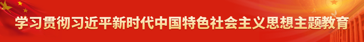 学习贯彻习近平新时代中国特色社会主义思想主题教育